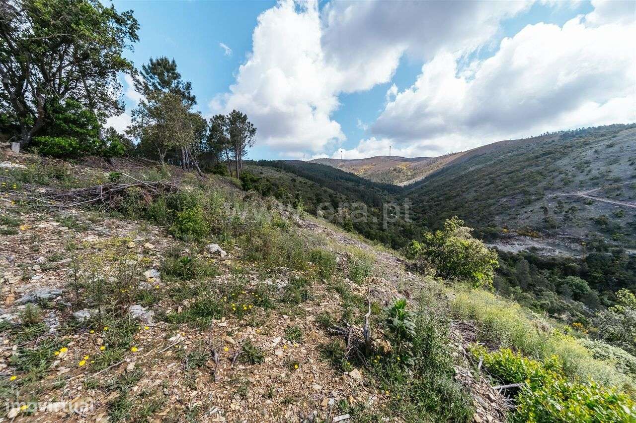 Terreno / Covilhã, Sobral de São Miguel - Grande imagem: 5/20