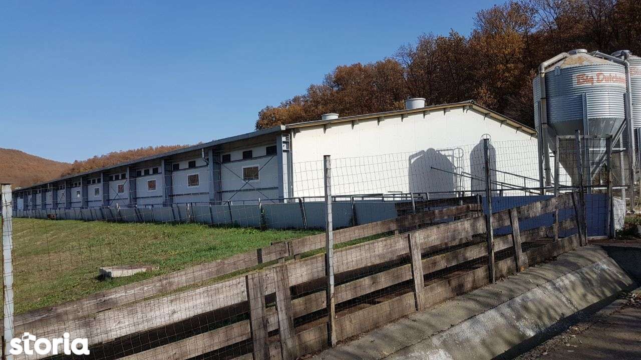 4 812 M Depozit Hala De Vanzare Satu Mare Judet Corund 5580669 Www Storia Ro