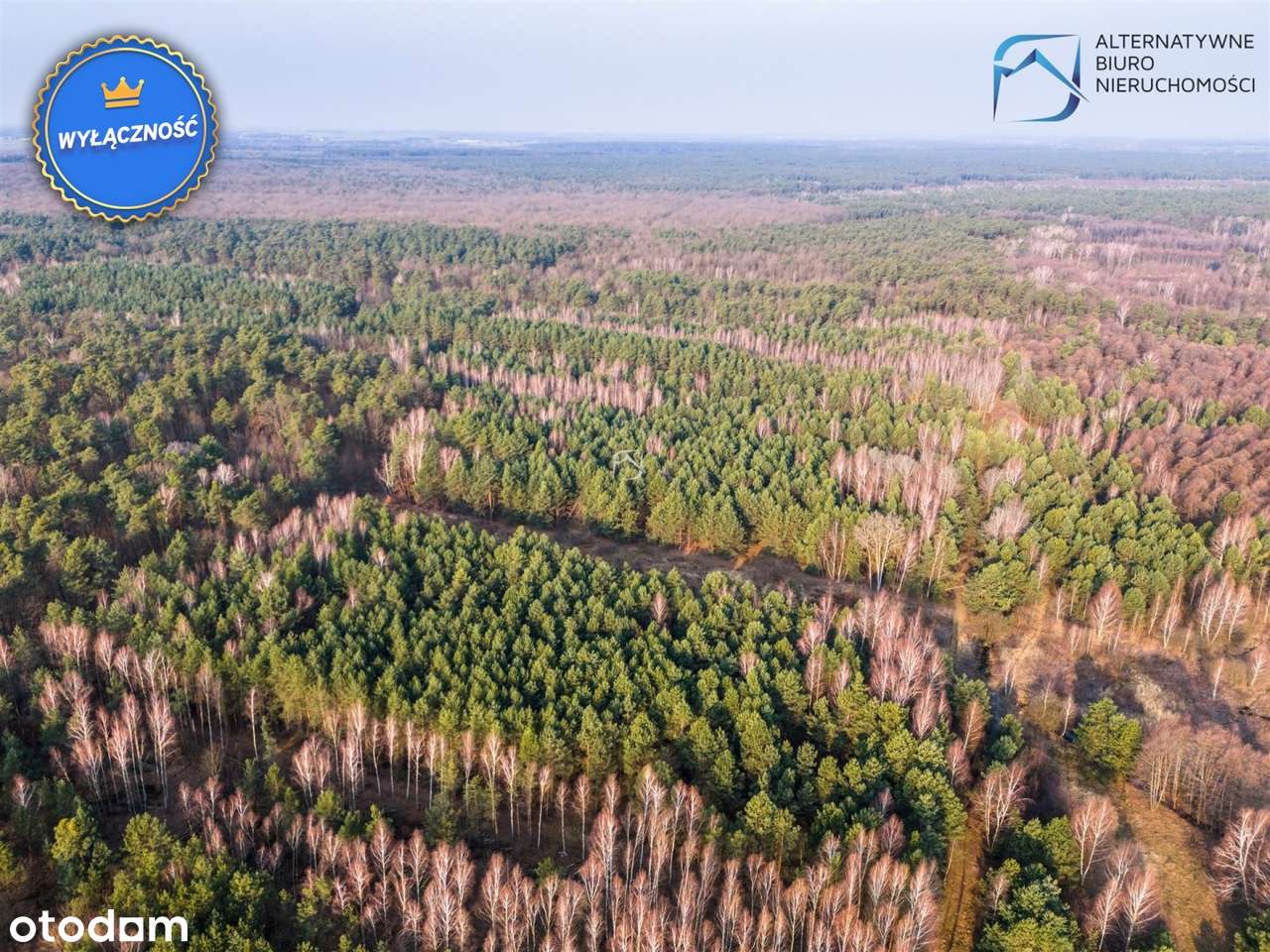 Atrakcyjna działka w Nowym Stawie G. Niemce - Pełny obrazek: 2/14