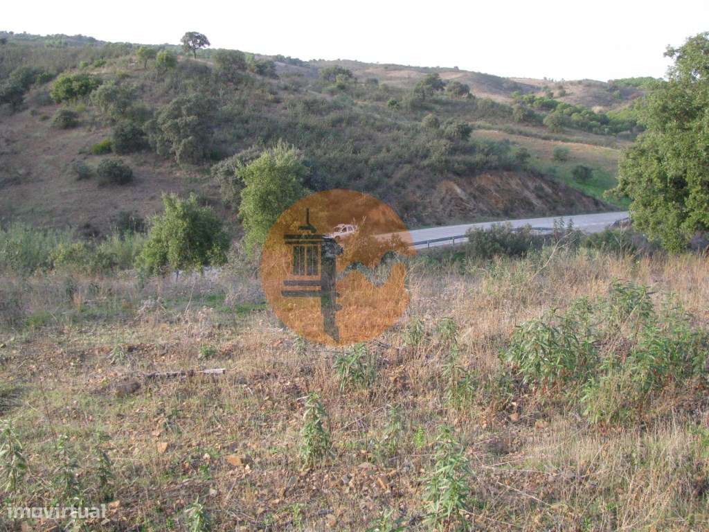 TERRENO RÚSTICO COM 3.520 M2 - CORTE DO GAGO - AZINHAL - CASTRO MAR... - Grande imagem: 3/30