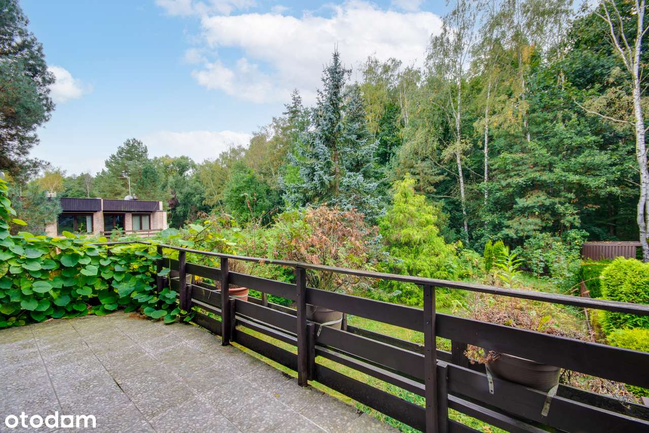 Katowice Bałtycka skrajny, duża działka widok na LAS! CENA OSTATECZNA!-0