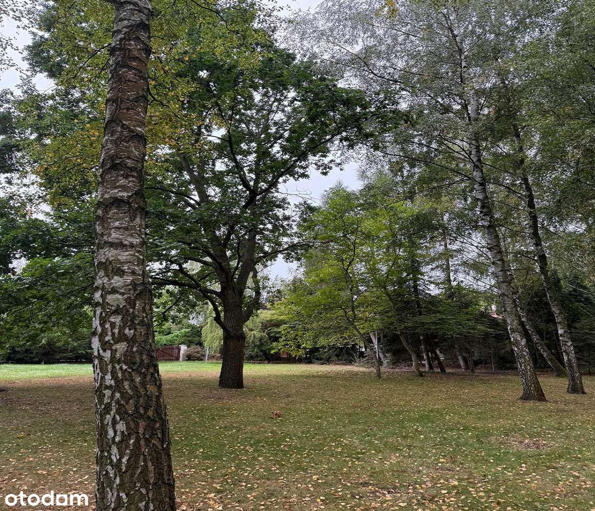 Piękna działka w Komorowie  - ogrodzona, wszystkie media-1