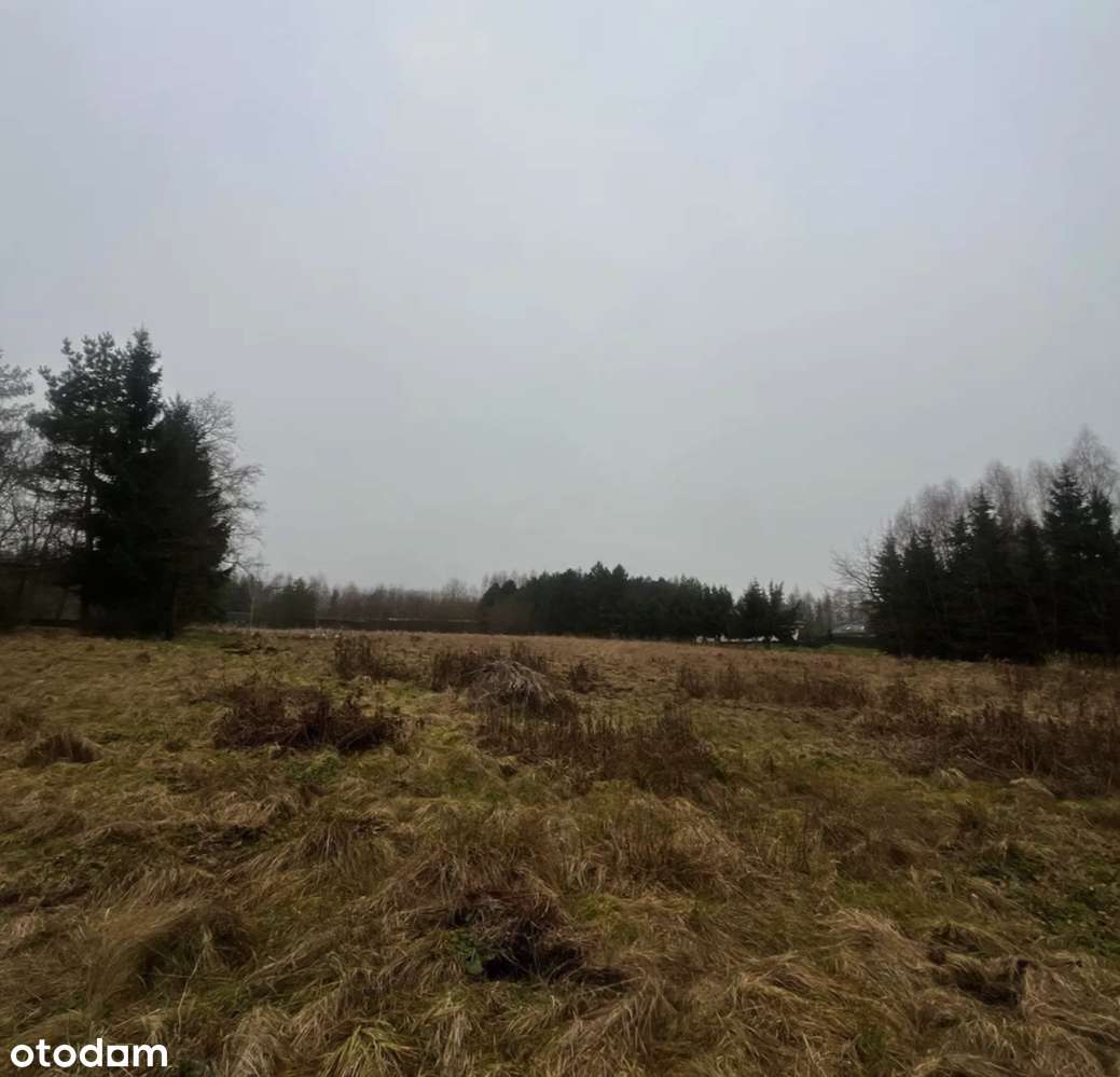 Działka budowlana 20 minut od Sky Bridge 721 - Pełny obrazek: 5/12