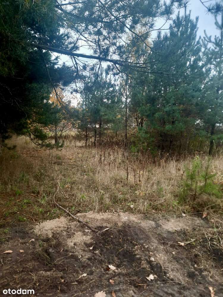 Działka budowlana Wierzbin 1545 m2 gm. Stare Babice-4