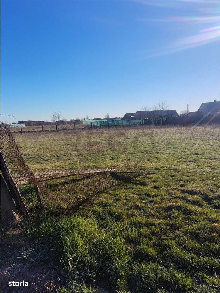 RECO Teren  intravilan in Cefa - Imagine principală: 4/5
