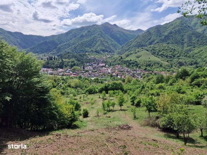 Teren extravilan - Imagine principală: 5/5