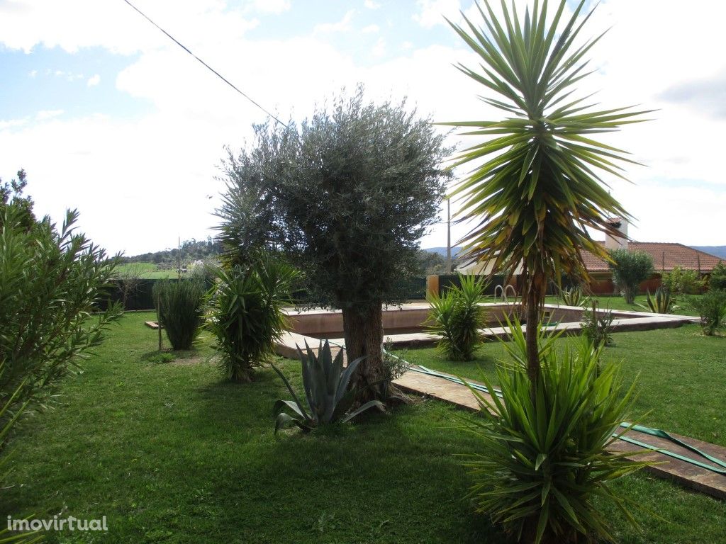 Monte Alentejano com 2,5 ha de vinha - Estremoz