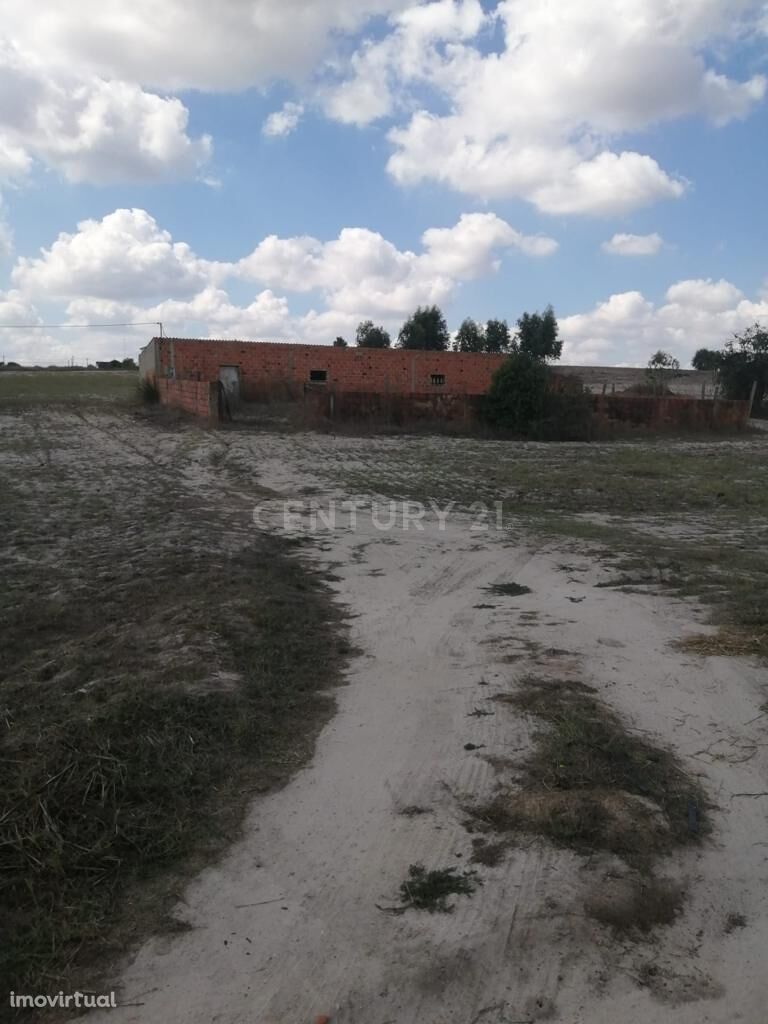 Terreno na Branca-Coruche com 20500m2