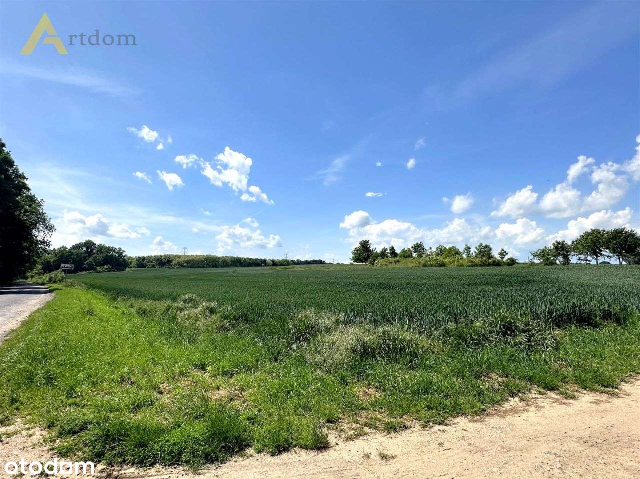 Działki budowlane przy Pałacu Krotoszyce, 10 ar - Pełny obrazek: 4/8