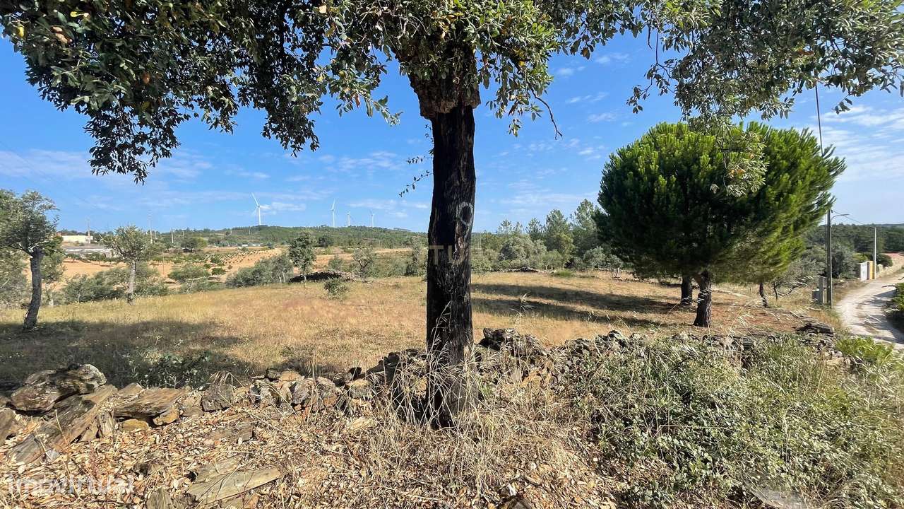 Terreno rústico, Cebolais de Cima - Grande imagem: 4/7
