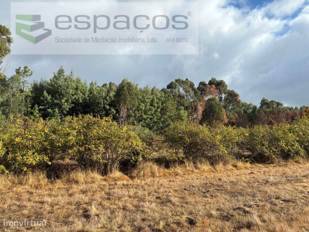 Bela quinta na Vila do Paul - Grande imagem: 5/30