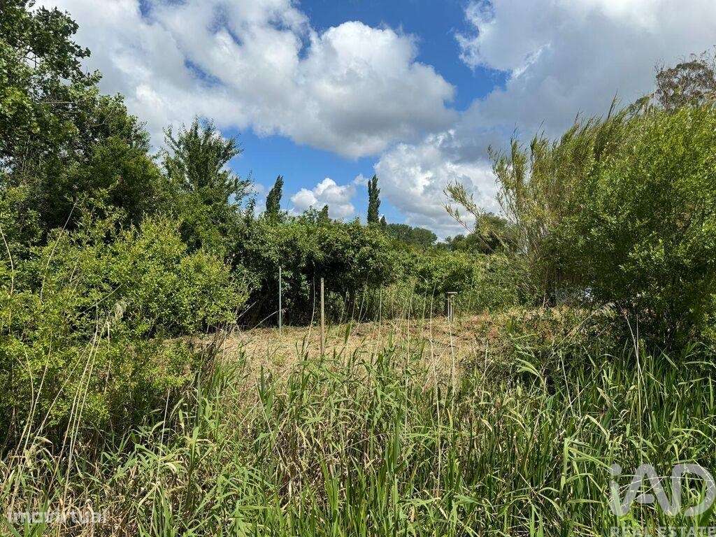 Terreno em Maiorga de 1020,00 m2 - Grande imagem: 5/16