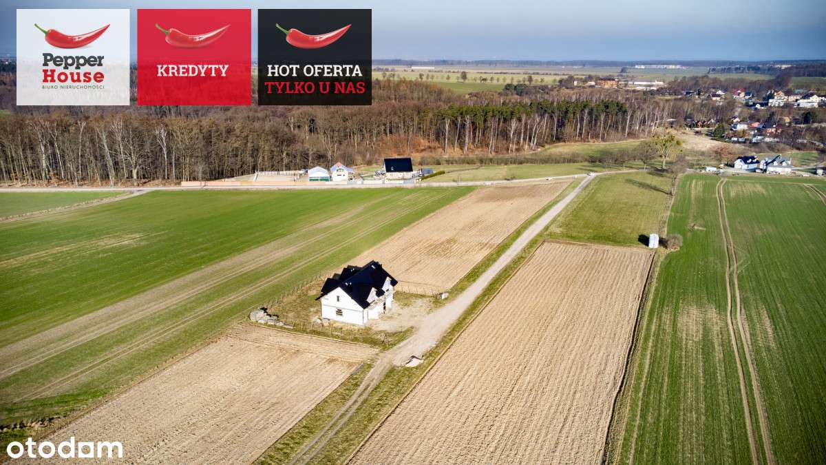 Działka blisko morza! Osłonino - Pełny obrazek: 2/17