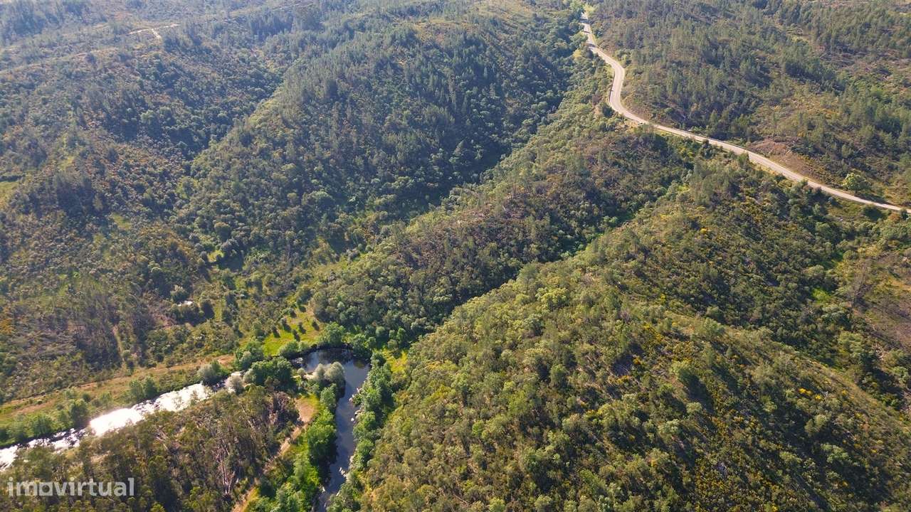 Terreno Rústico  Venda em Sarzedas,Castelo Branco-14