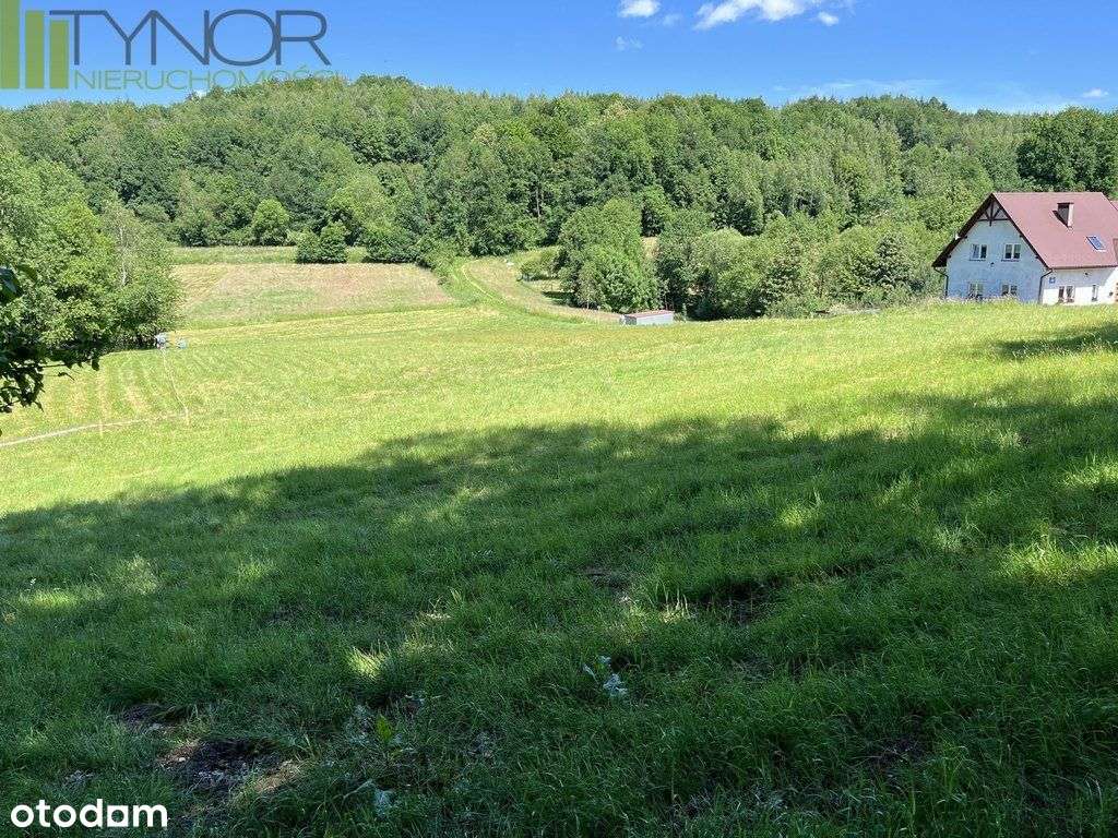 Izdebnik działka budowlana 15 arów przy lesie-4