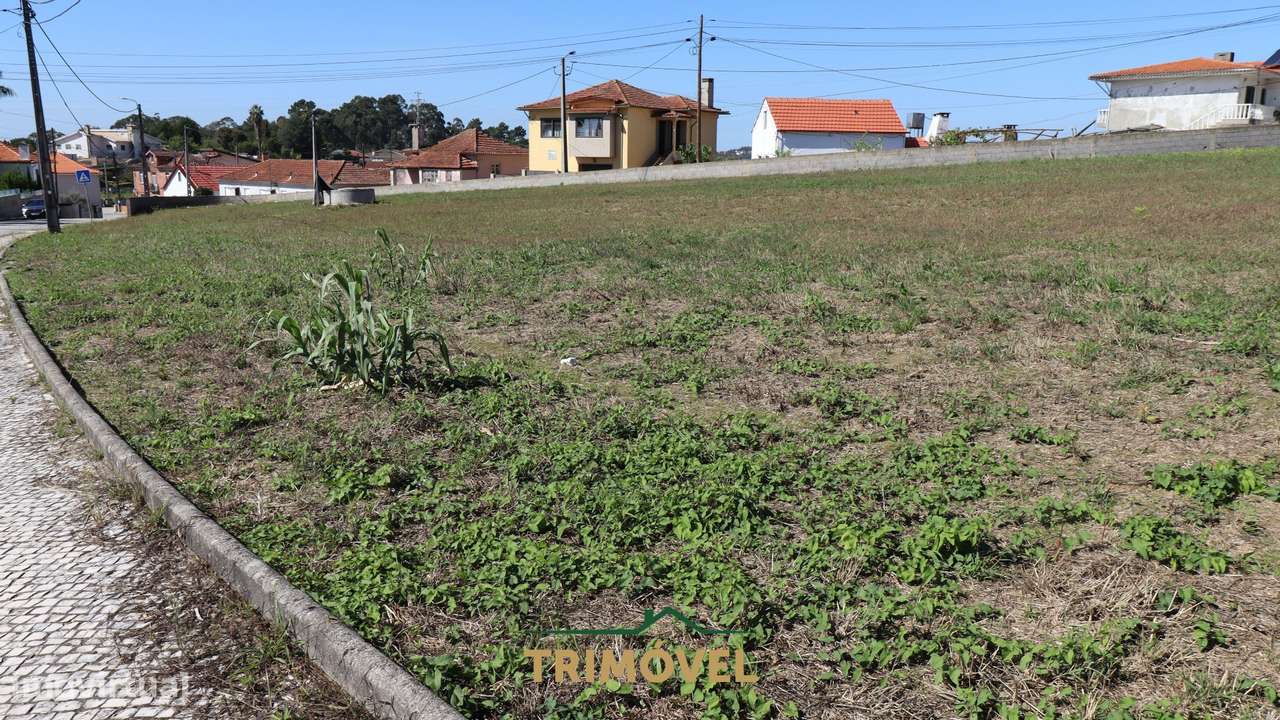Terreno para Construção em Oliveira de Azeméis - Grande imagem: 3/8