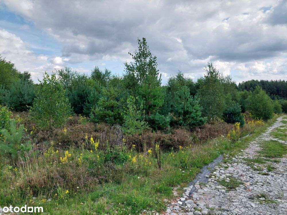 Działka w Błotni na sprzedaż-0