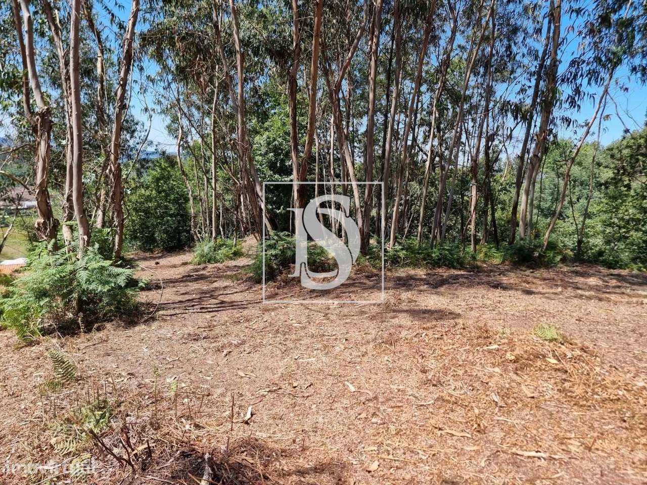 Terreno com Capacidade de Construção-9