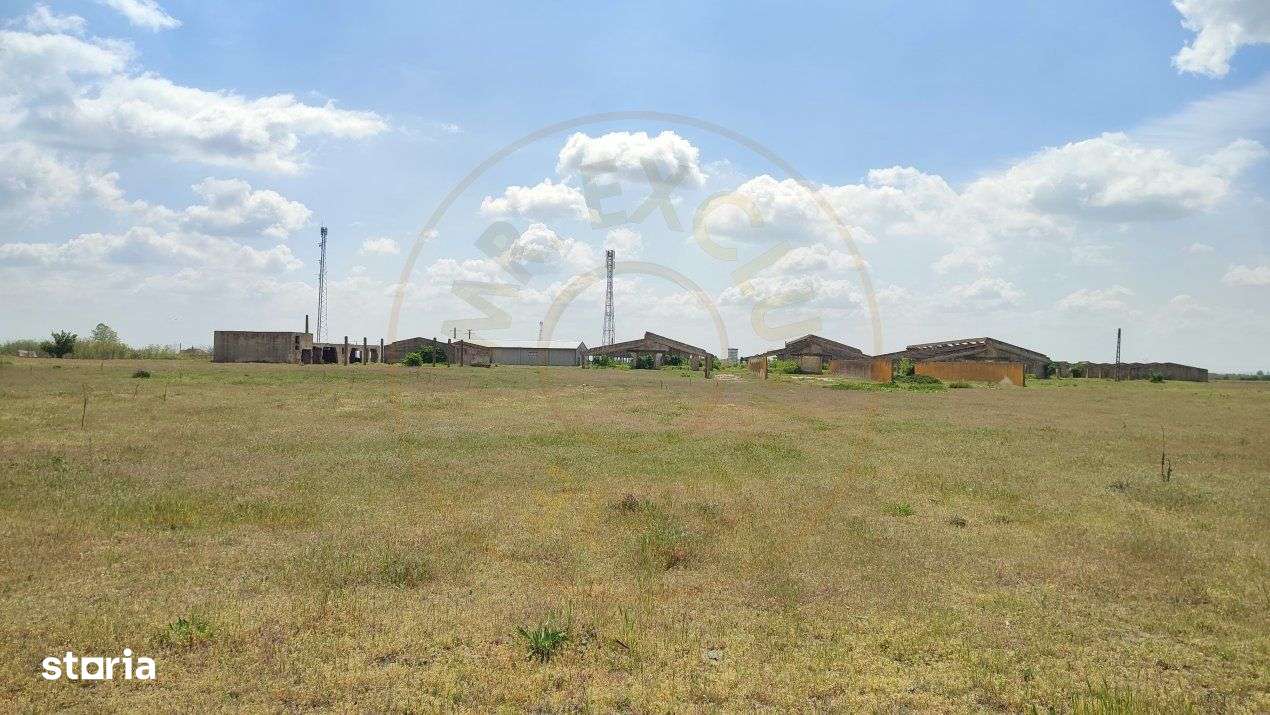 De Vanzare Ferma Piscolt Teren 64.000 mp- Piscolt SM - Comision 0% cum - Imagine principală: 5/19