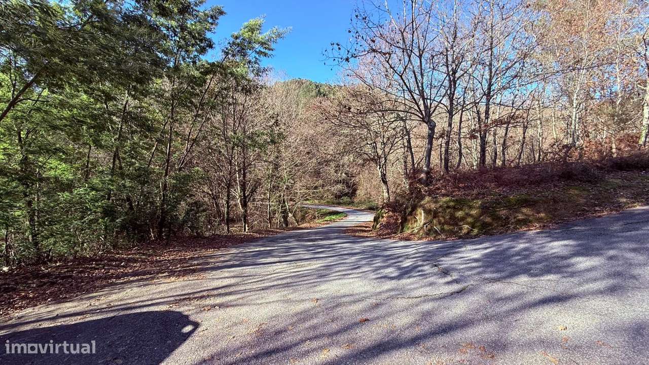 Terreno em Veade, Gagos e Molares-9