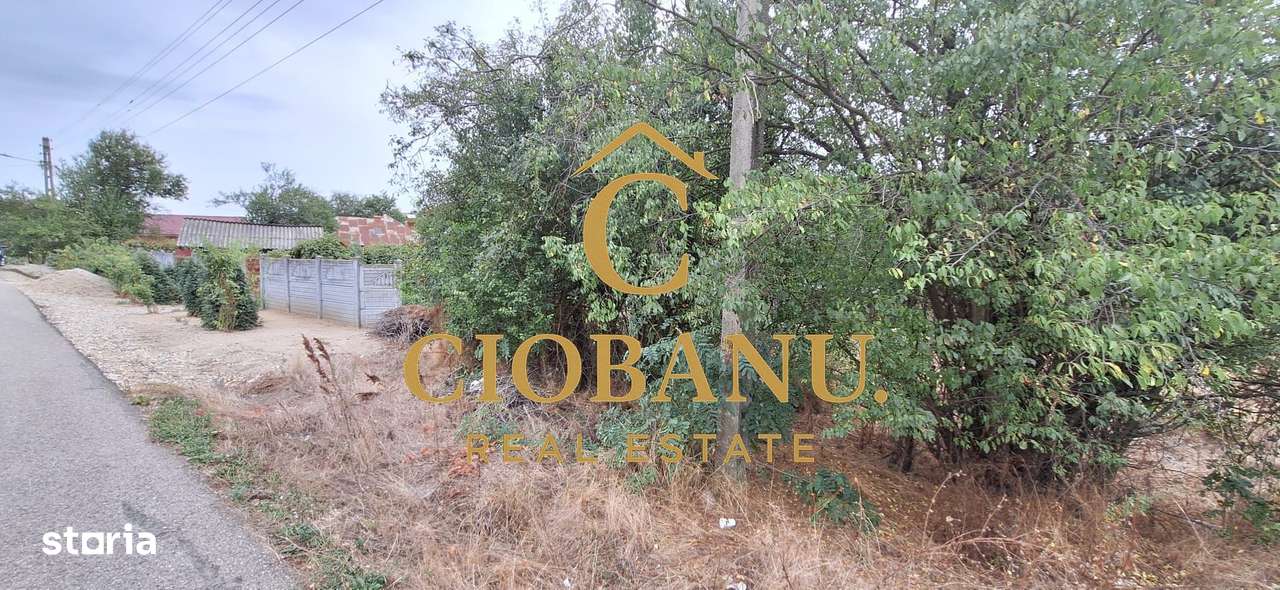 Teren Intravilan/Extravilan de vanzare in Bradestii Batrani-4