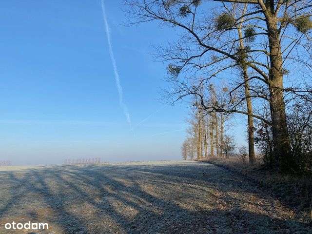 Syndyk sprzeda Nieruchomość gruntową w Sownie - Pełny obrazek: 3/3