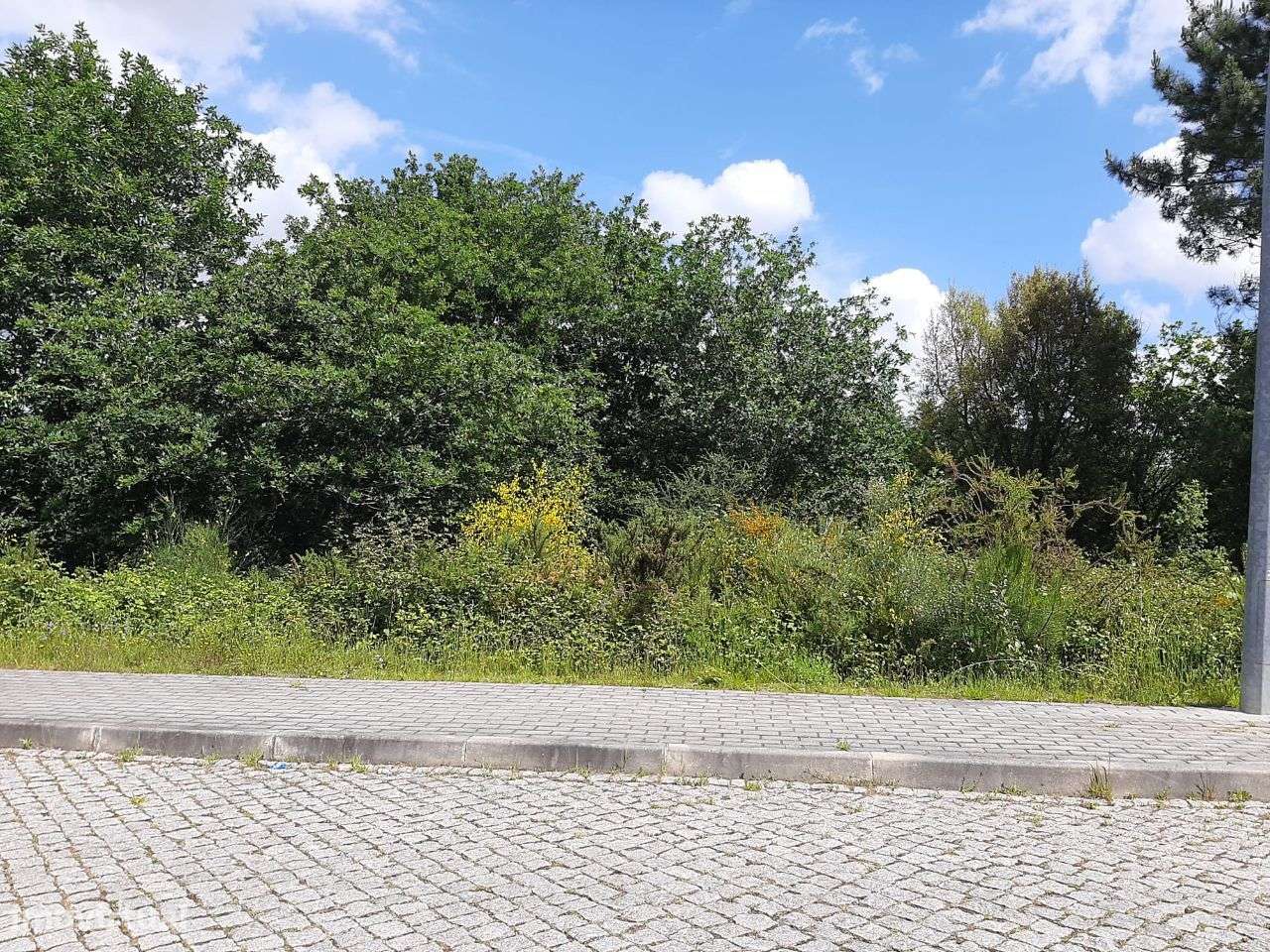 Vende Lote Terreno Lagares Penafiel - Grande imagem: 4/7