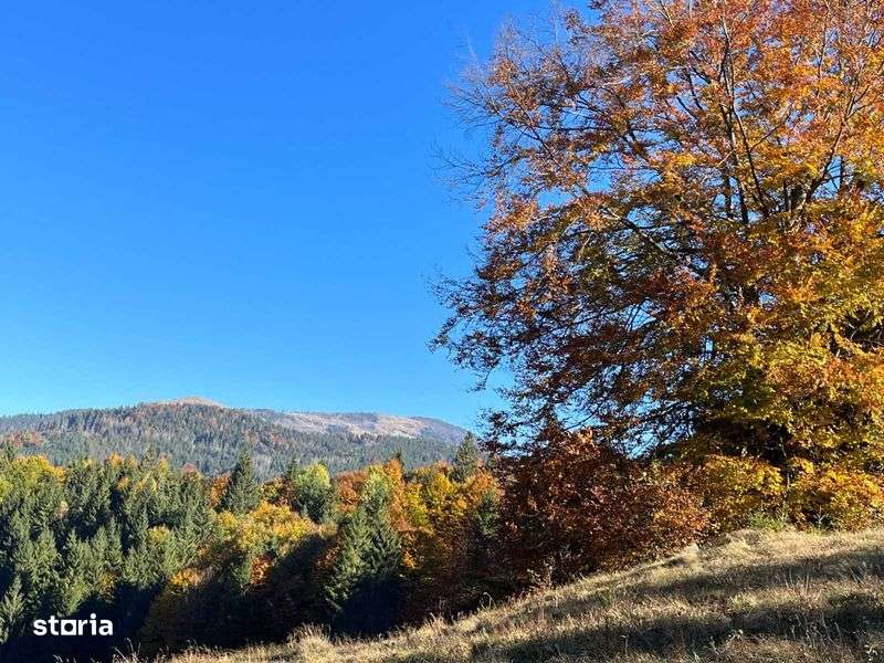 Teren de vanzare Catun Alunu - Baraj Dragan 2x2275 - Imagine principală: 5/8