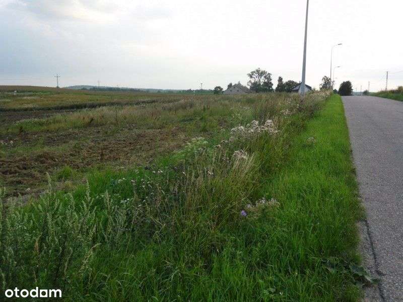 Działka budowlana w Różynach-4