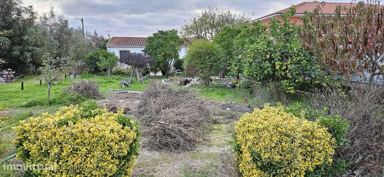 Moradia Térrea / Quintinha em Foros de Salvaterra-49