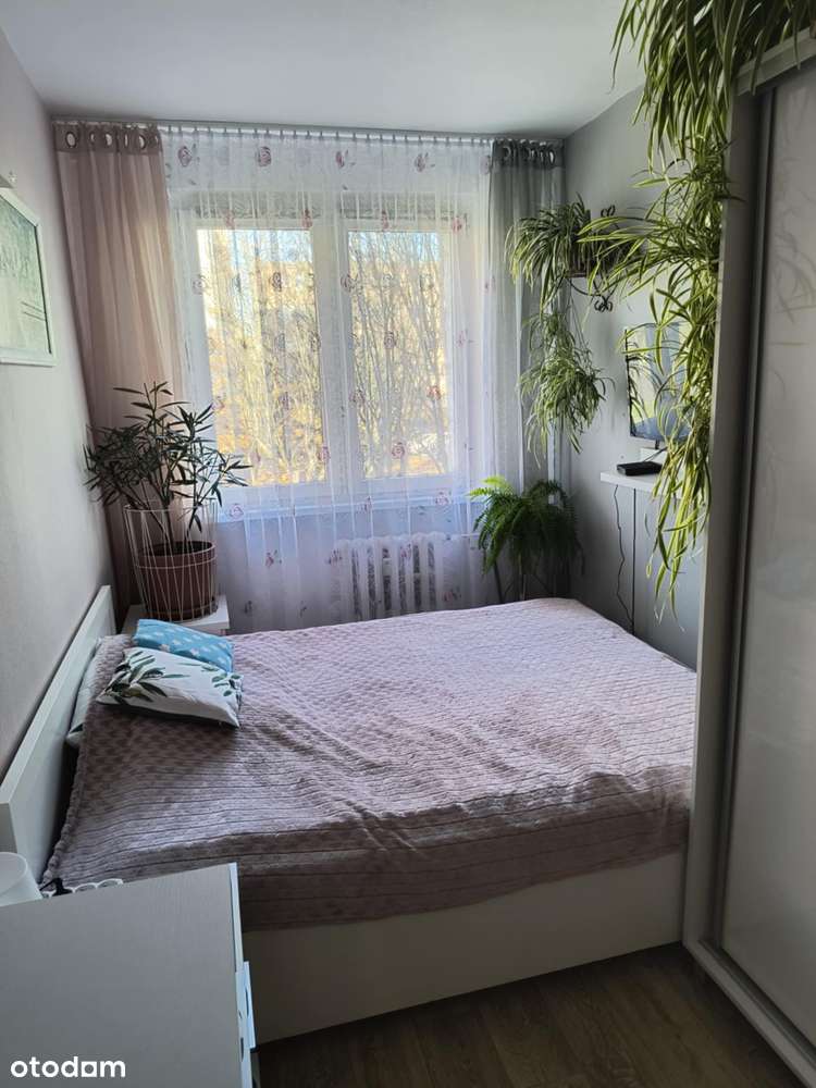 Sprzedam ładne mieszkanie  z balkonem I piętro – Lubsko-4