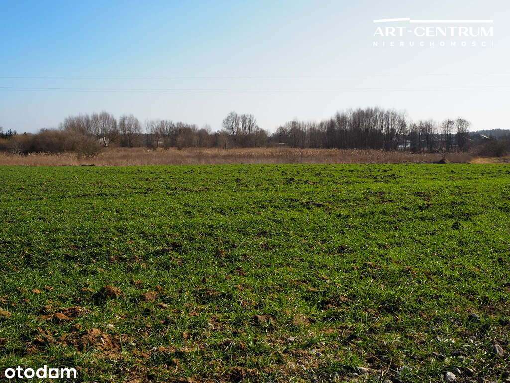 3586 m² Przestrzeń i świetna lokalizacja! - Pełny obrazek: 3/4