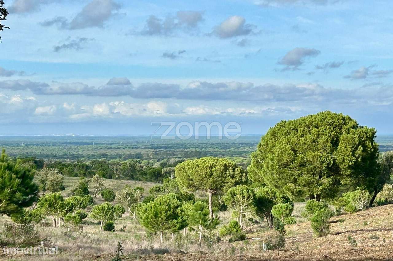 Terreno Rústico com 18 Hectares - Grande imagem: 4/19