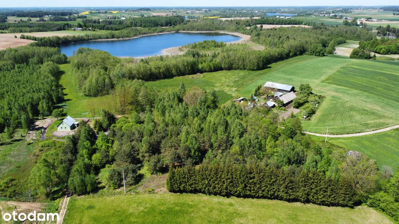 Berżniki - działka koło jeziora - 8 zł/m2 - Pełny obrazek: 4/8