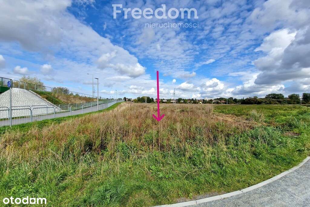 Duża łąka nad Krzną przy nowym moście i ścieżce - Pełny obrazek: 4/9