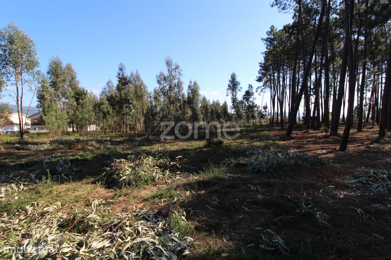 Terreno Urbanizável com 9.200 m2 em Alvarães, Viana do Castelo ! - Grande imagem: 5/15