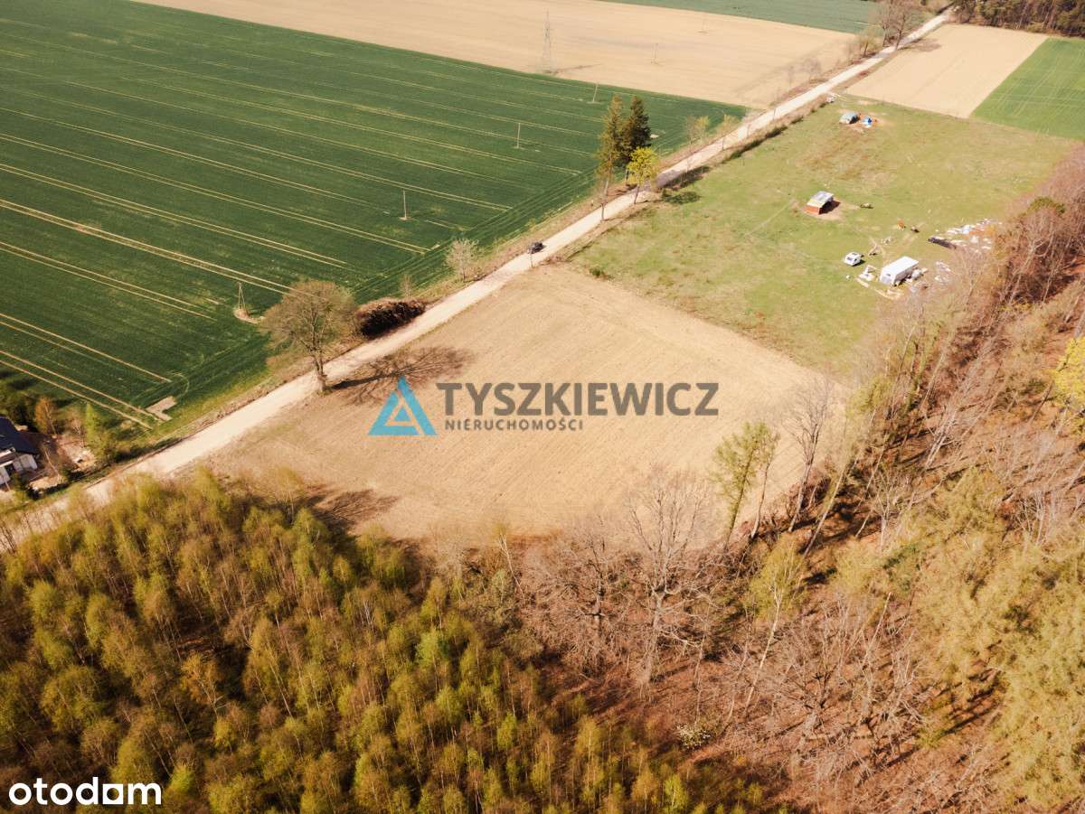 Duża działka niedaleko Krokowej. - Pełny obrazek: 4/20