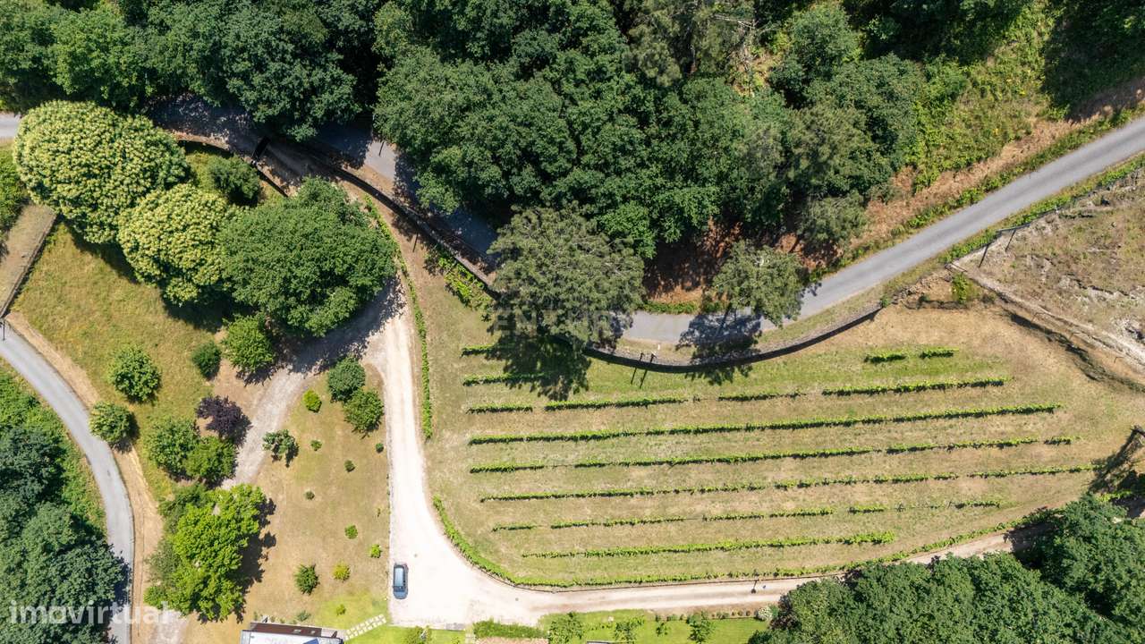 Quinta de Luxo de Vinho e Natureza com Potencial de Expansão perto do-40