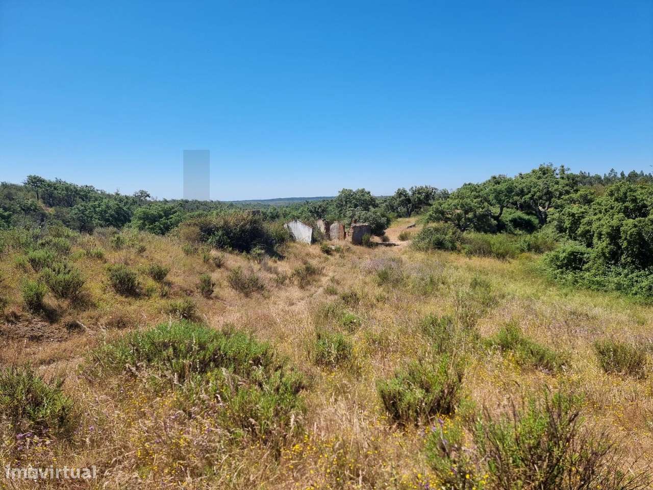 Herdade no coração do Alentejo Litoral - Santiago do Cacém - Grande imagem: 5/35