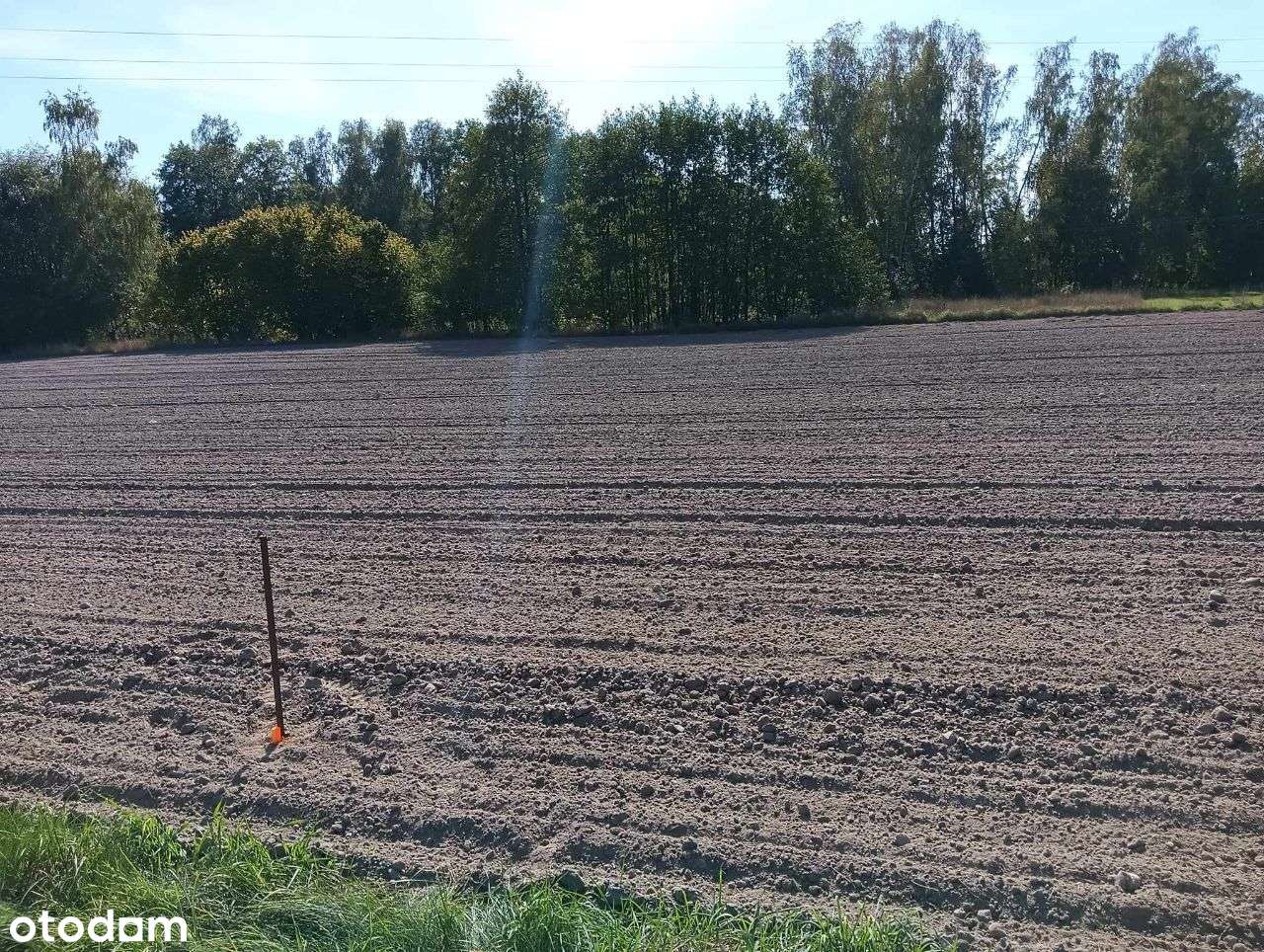 Sprzedam działki budowlane Czarnogłów gm.Dobre-10