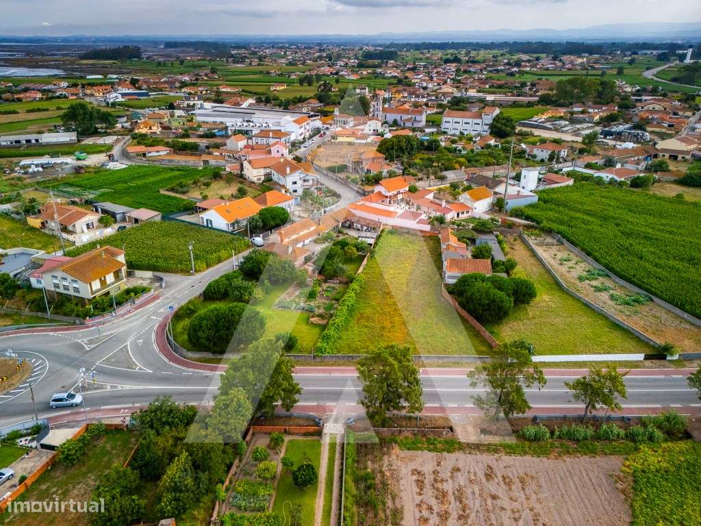 Terreno construção moradia - Murtosa - Ria de Aveiro-11