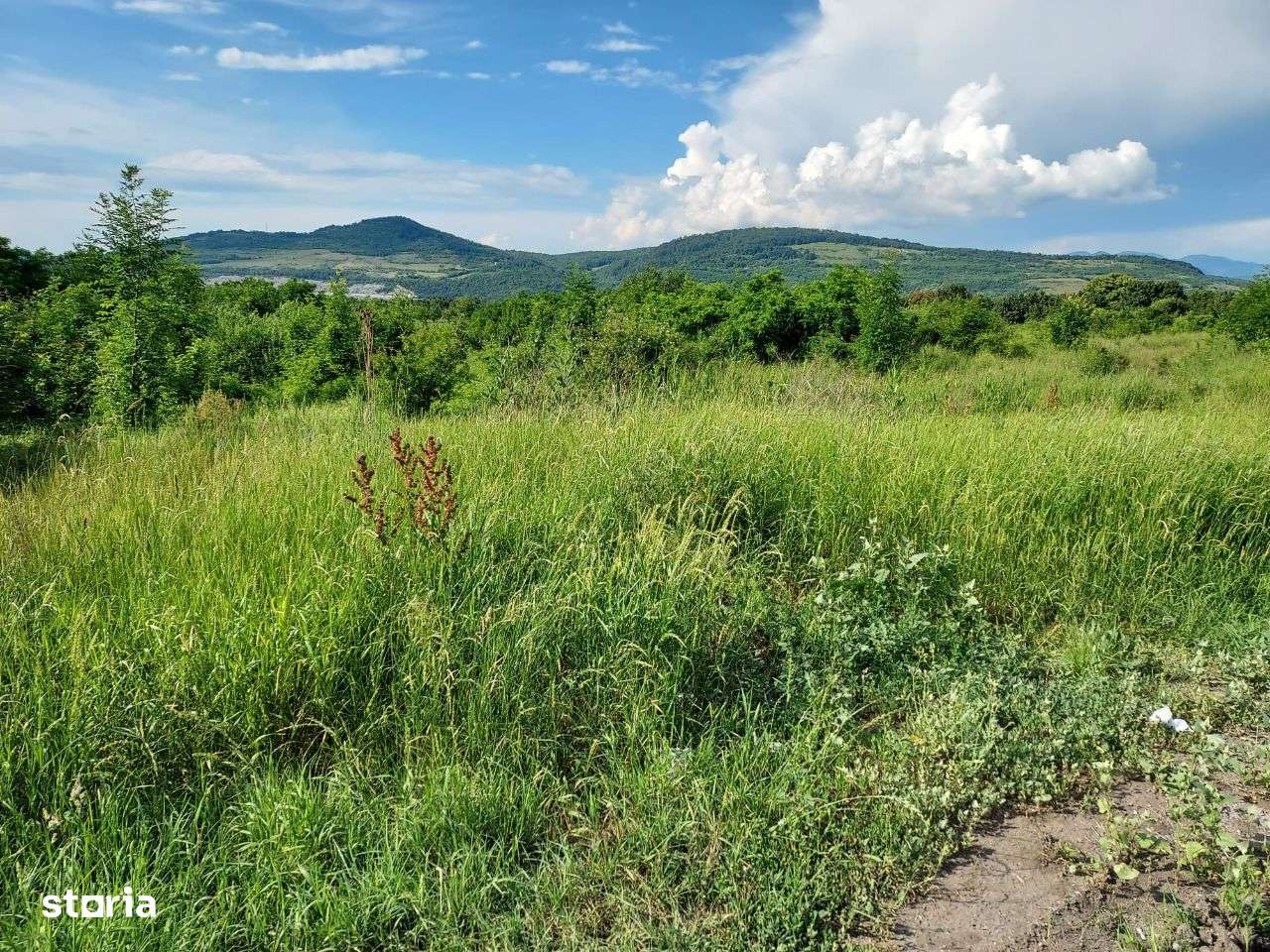 Teren extravilan intrare Mintia, Com Vetel, jud HD - Imagine principală: 5/8