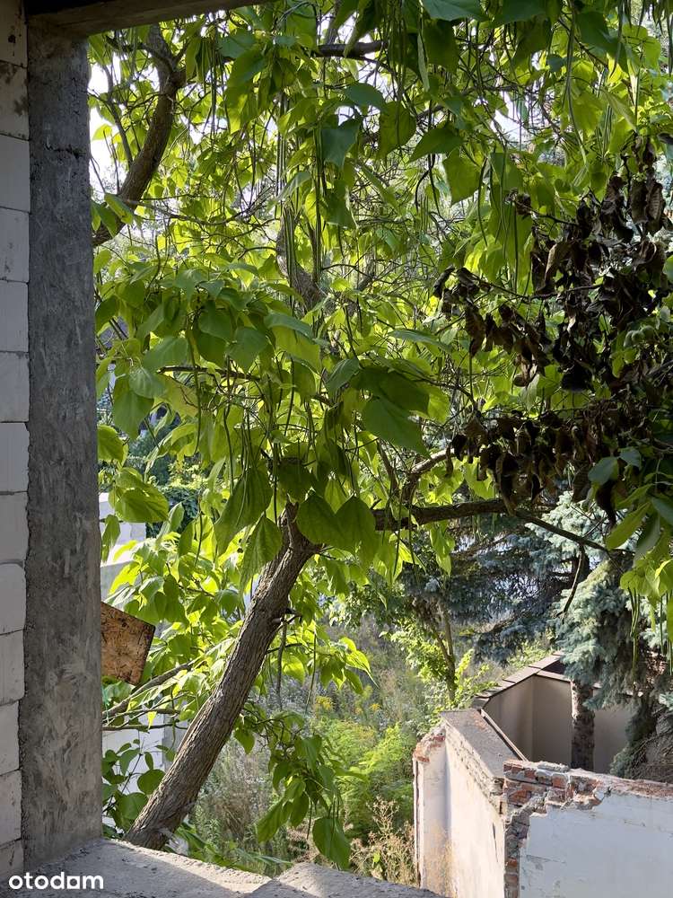 Bema 50 Julianów / zieleń, ogródek, garaż, top lokalizacja - Pełny obrazek: 4/10