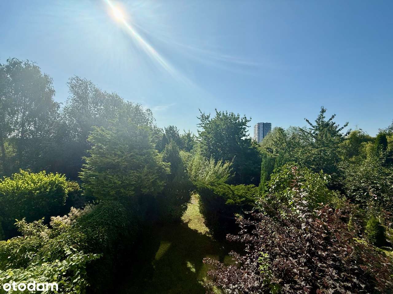 OKAZJA Słoneczny dom w zieleni! 10 min Centrum Garaż Duży ogród Cisza-14