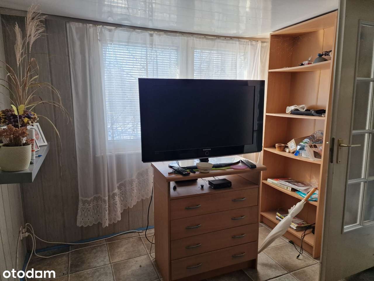 Działka ROD 300 m² – Żwirki i Wigury II (Ławica) - Pełny obrazek: 5/20