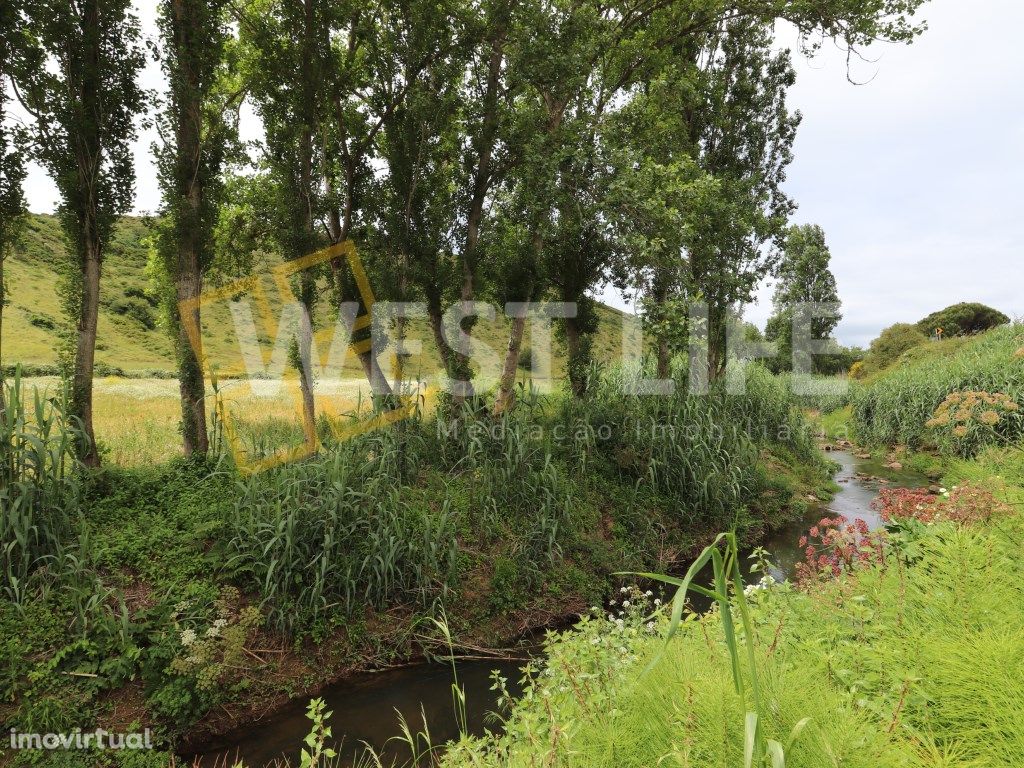 Terreno em Santo Isidoro - Terreno Rústico/ Agrícola de 1...