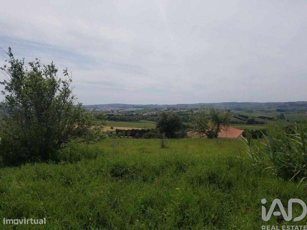 Terreno em Carvalhal de 5880,00 m2 - Grande imagem: 5/9