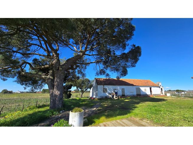 Herdade de 28.000m2 com vinha moscatel e habitações-0