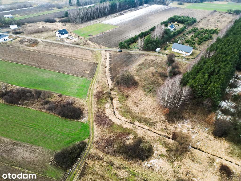 Sprzedam Dziłki w Ślepowron - Pełny obrazek: 5/8