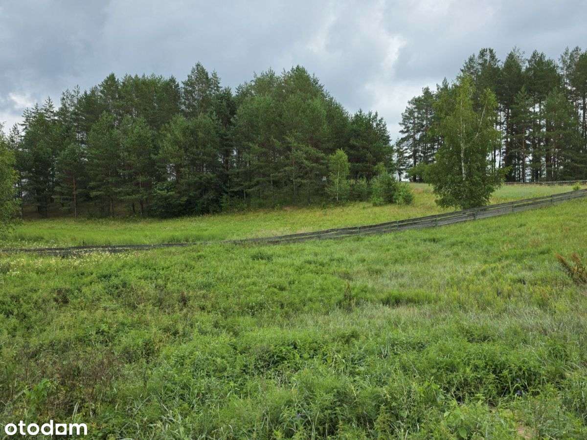 Rzeka Szlamica, Linia Brzegowa, Działka Budowlana - Pełny obrazek: 4/15